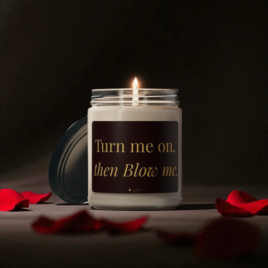 Turn Me On Then Blow Me – Forbidden Fun
